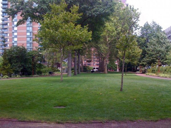 Manhattan Park's Roosevelt Island Stories Manhattan Park